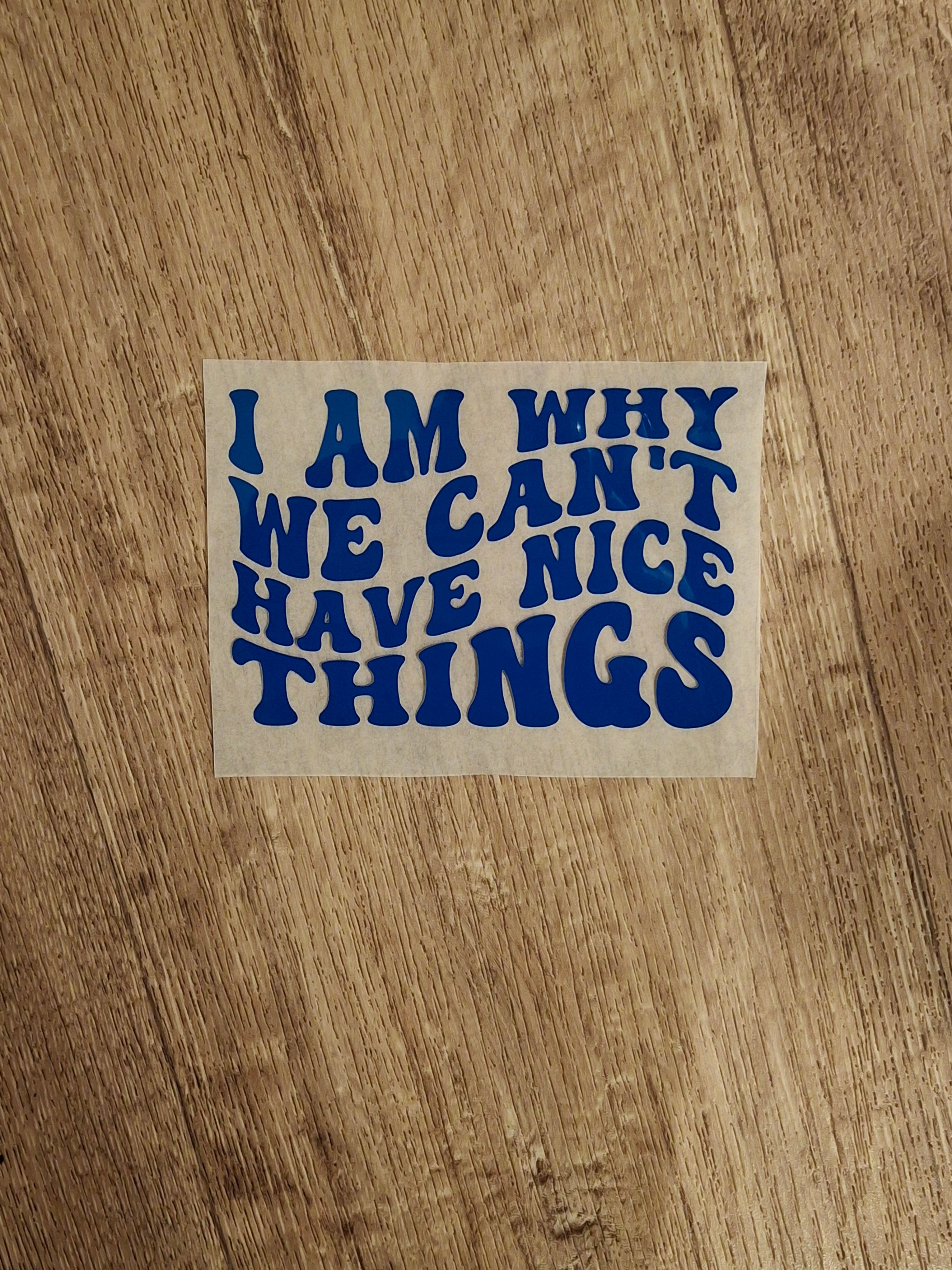 I am why we can't have nice things